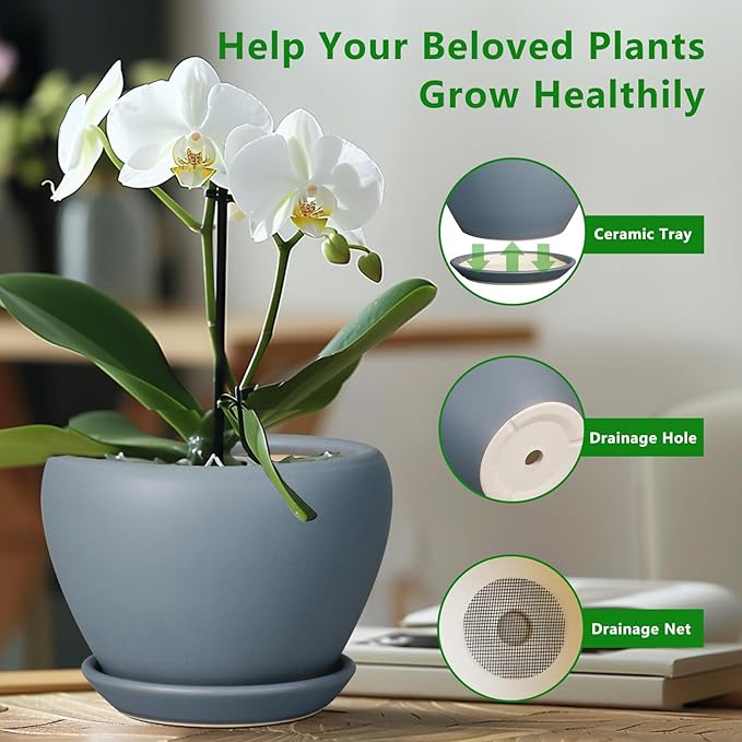 Potted plant with a ceramic tray, drainage hole, and drainage net on a wooden surface.