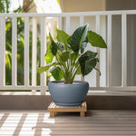 Potted plant on a wooden stand with a white railing and greenery in the background