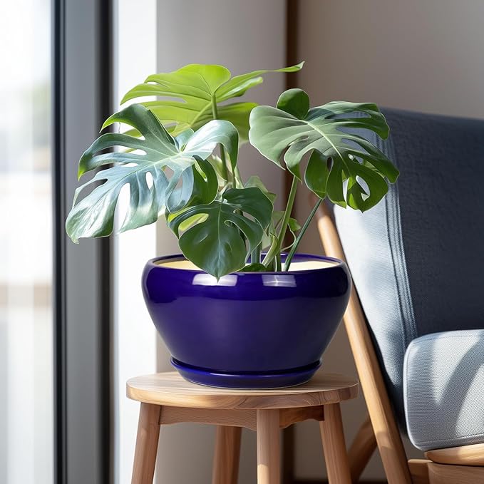 Potted plant in a blue pot on a wooden stool next to a chair.
