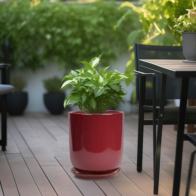 Red planter with green plant on a wooden deck with outdoor furniture in the background