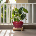 Potted plant on a wooden stand with a white railing and greenery in the background