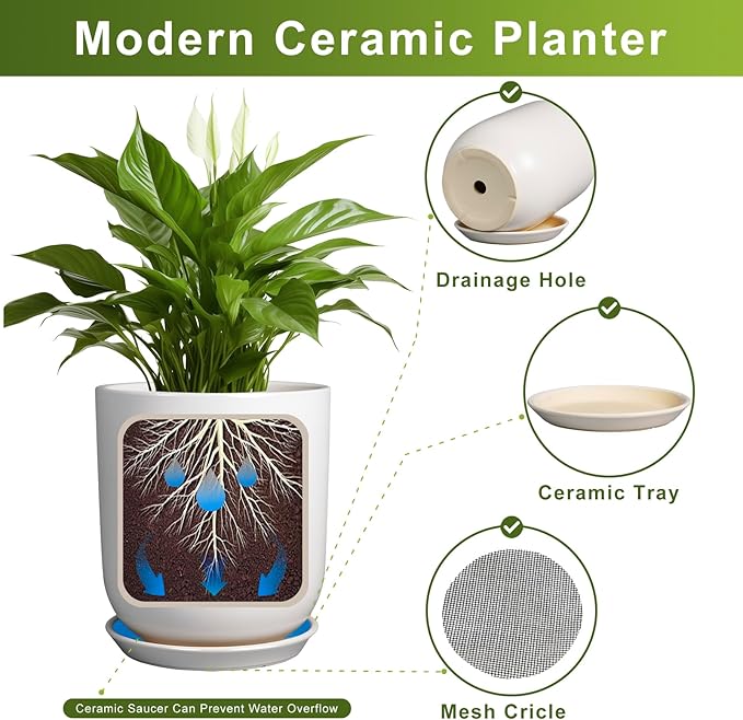Modern ceramic planter with features highlighted on a white background