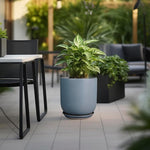 Potted plant on a patio with outdoor furniture and greenery in the background