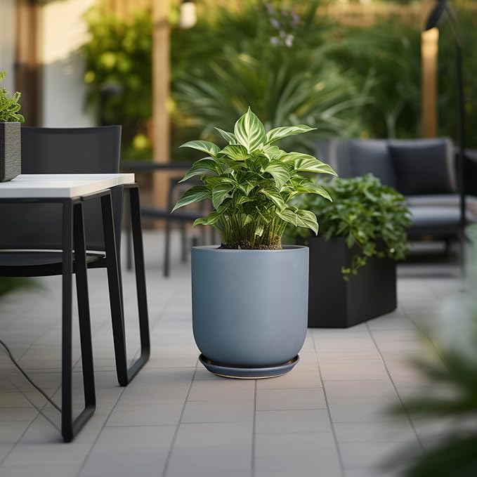 Potted plant on a patio with outdoor furniture and greenery in the background