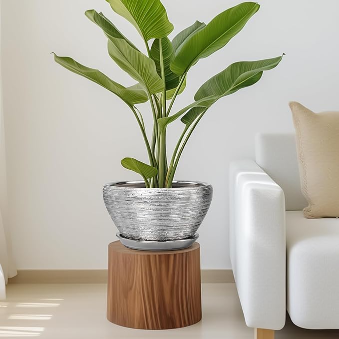Potted plant on a wooden stand in a living room setting