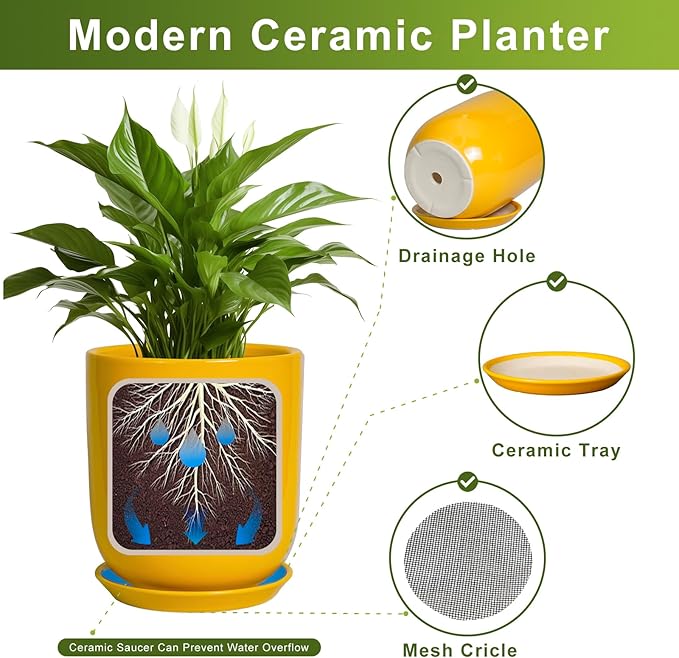 Yellow ceramic planter with a plant, showing features like drainage hole, ceramic tray, and mesh circle on a white background.