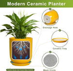 Yellow ceramic planter with a plant, showing features like drainage hole, ceramic tray, and mesh circle on a white background.