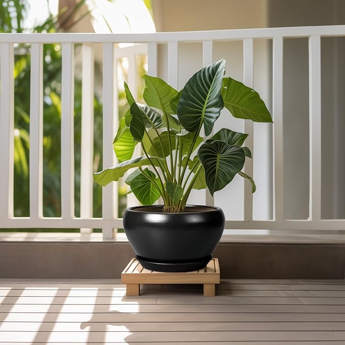 Potted plant on a wooden stand with a white railing and greenery in the background