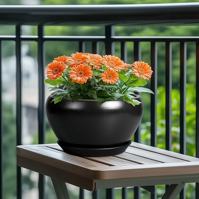 Potted plant with orange flowers on a wooden table outdoors