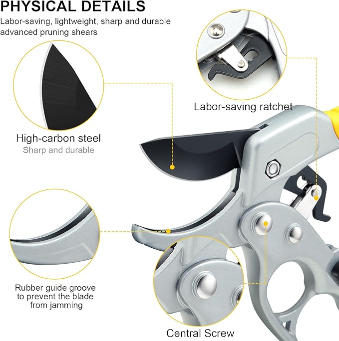 Pruning shears with labeled features on a white background
