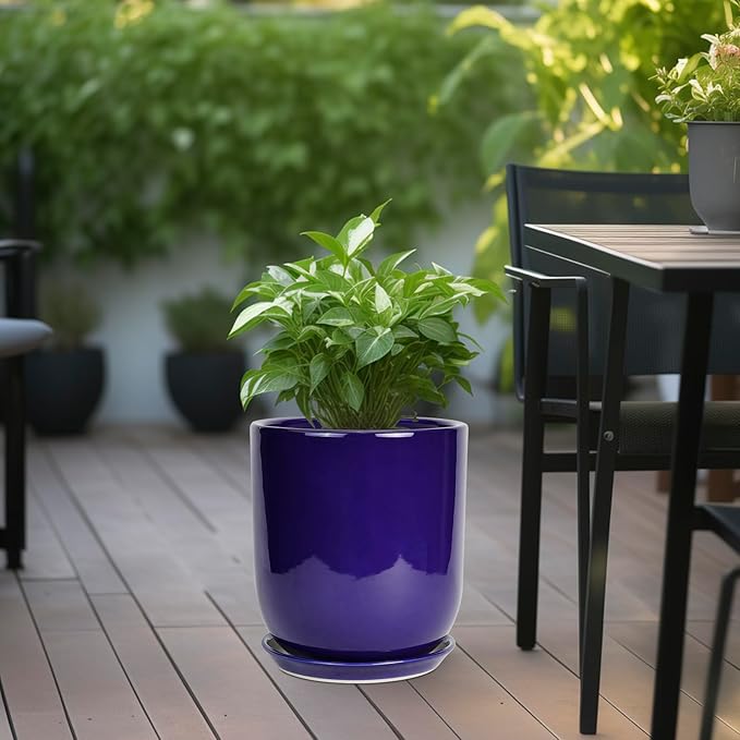 Purple planter with green plant on a wooden deck with outdoor furniture in the background