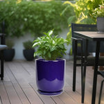 Purple planter with green plant on a wooden deck with outdoor furniture in the background