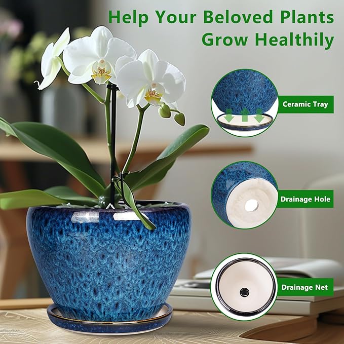 Blue ceramic pot with a white orchid and illustrations of a ceramic tray, drainage hole, and drainage net on a blurred indoor background.