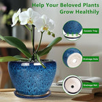 Blue ceramic pot with a white orchid and illustrations of a ceramic tray, drainage hole, and drainage net on a blurred indoor background.