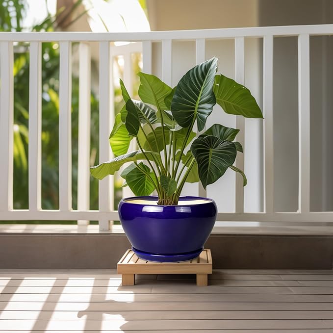 Potted plant on a wooden stand with a white railing and greenery in the background