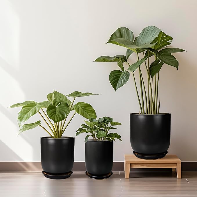 Three potted plants on a wooden stool against a neutral wall.