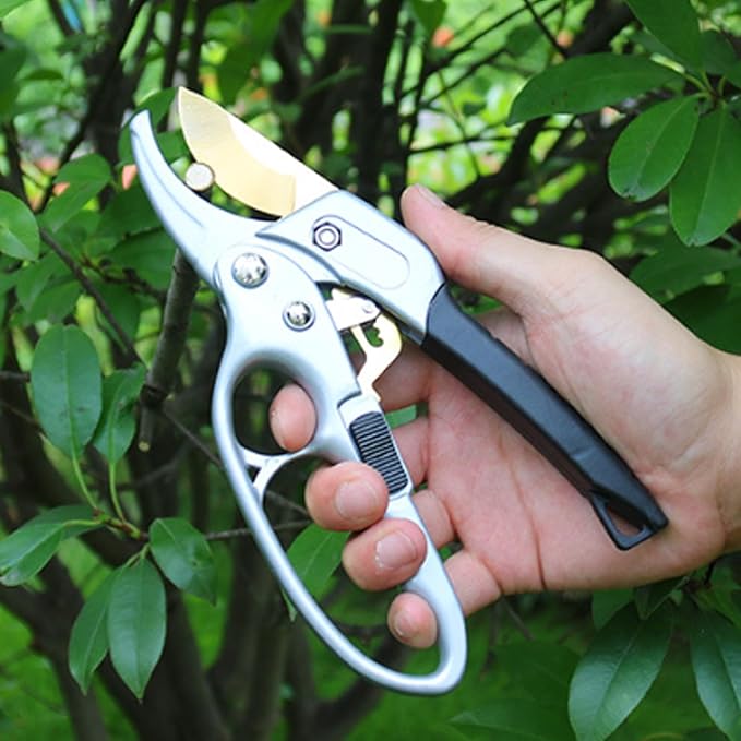 Hand holding a pair of garden shears with a green leafy background