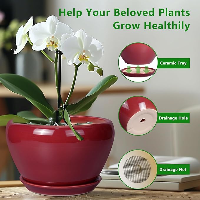 Red ceramic pot with white orchid and features highlighted on a blurred background