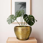 Gold pot with a green plant on a wooden surface, framed artwork in the background