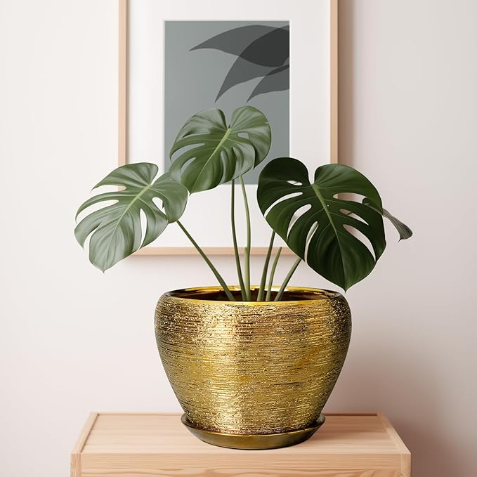 Gold pot with a green plant on a wooden surface, framed artwork in the background
