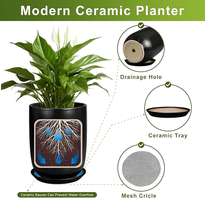Modern ceramic planter with features highlighted on a white background