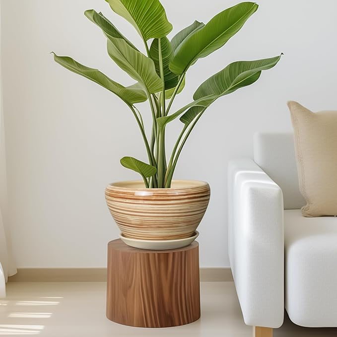 Potted plant on a wooden stool in a living room setting with a white sofa.
