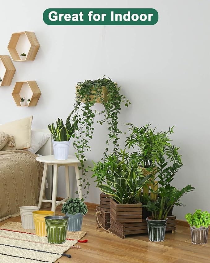 Indoor plants in various pots on a wooden floor with a couch and wall planters in the background.