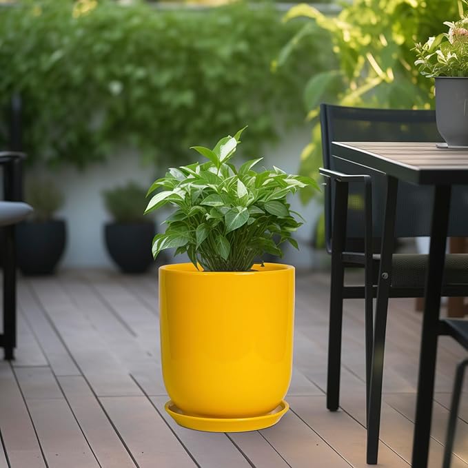 Yellow planter with a green plant on a wooden deck with outdoor furniture in the background.