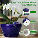 Blue ceramic pot with white orchids and a ceramic tray, highlighting features like drainage hole and net.