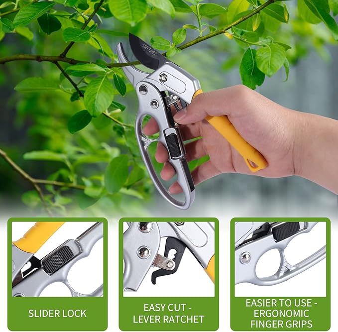 Hand using garden pruners on a branch with close-up details of the tool.