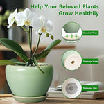 Green ceramic tray with orchid plant, highlighting drainage hole and net on a blurred indoor background.
