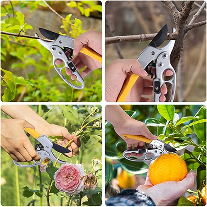 Collage of a gardening tool being used on various plants and fruits.