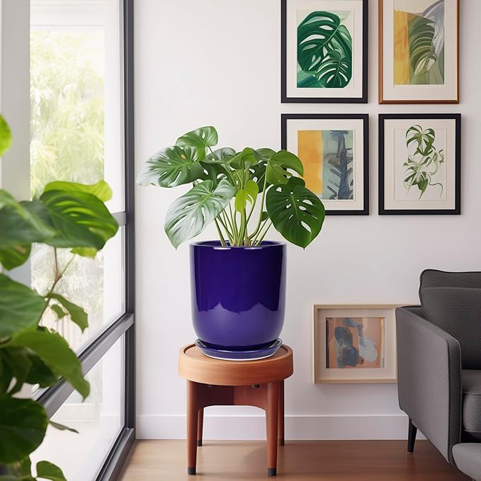 Blue pot with green plant on a wooden stool in a room with framed artwork on the wall.