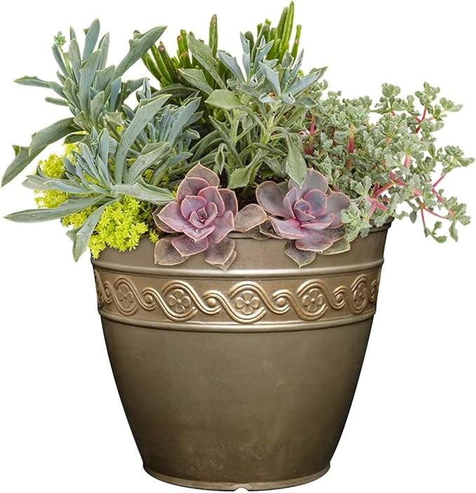 Decorative pot with a variety of succulents and plants on a white background