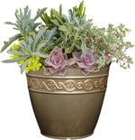 Decorative pot with a variety of succulents and plants on a white background