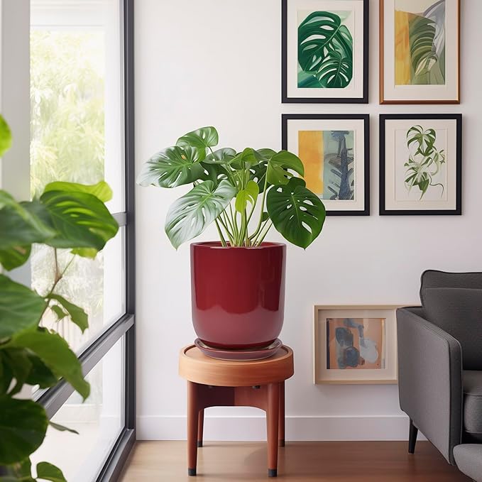 Potted plant on a wooden stool in a room with framed artwork on the wall.
