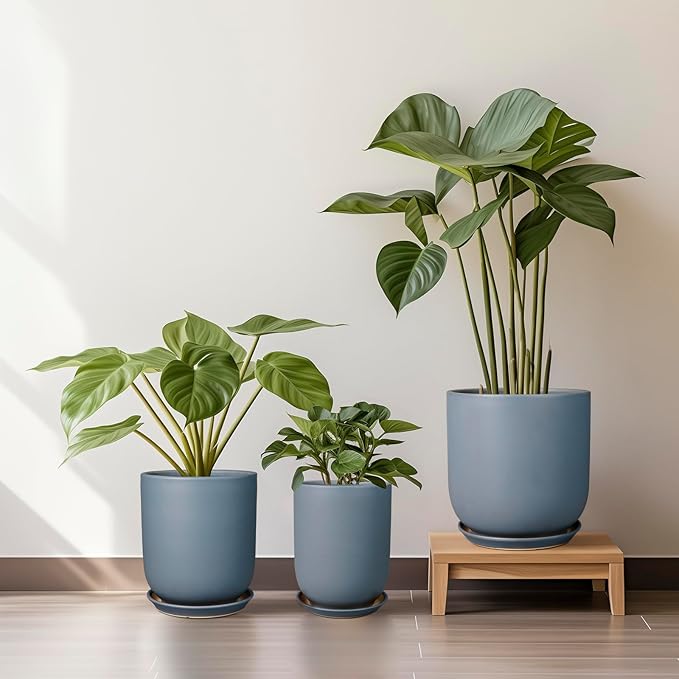 Three potted plants in blue pots on a wooden stool against a white wall.