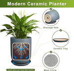 Modern ceramic planter with a plant, showing features like drainage hole, ceramic tray, and mesh circle.