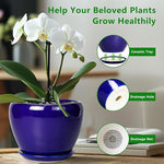 White orchid in a blue pot with a ceramic tray, drainage hole, and drainage net on a blurred indoor background.