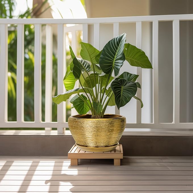 Potted plant on a wooden stand with a white railing and greenery in the background