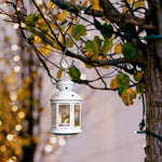 White lantern hanging from a tree branch with blurred lights in the background
