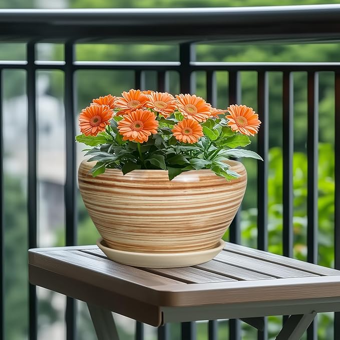 Potted plant with orange flowers on a wooden table outdoors