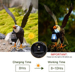 Solar-powered eagle with lantern on a natural background