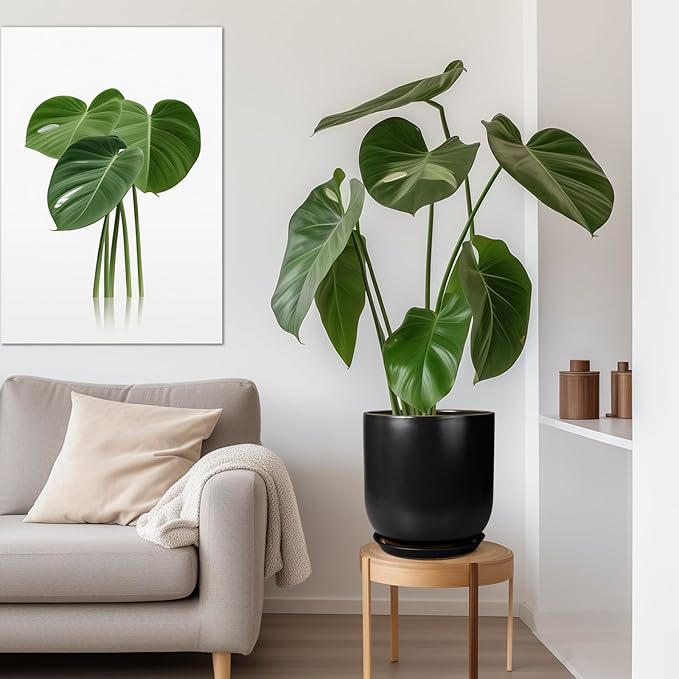 Potted plant on a wooden stool in a living room with a gray sofa and framed artwork.
