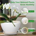 White orchid in a pot with a ceramic tray, drainage hole, and net on a blurred indoor background.
