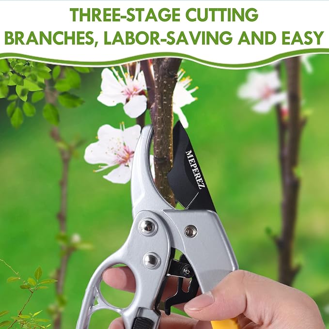 Hand holding a pair of gardening shears with a blurred background of greenery and flowers.