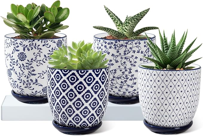 Set of four patterned pots with succulents on a white surface