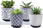 Set of four patterned pots with succulents on a white surface