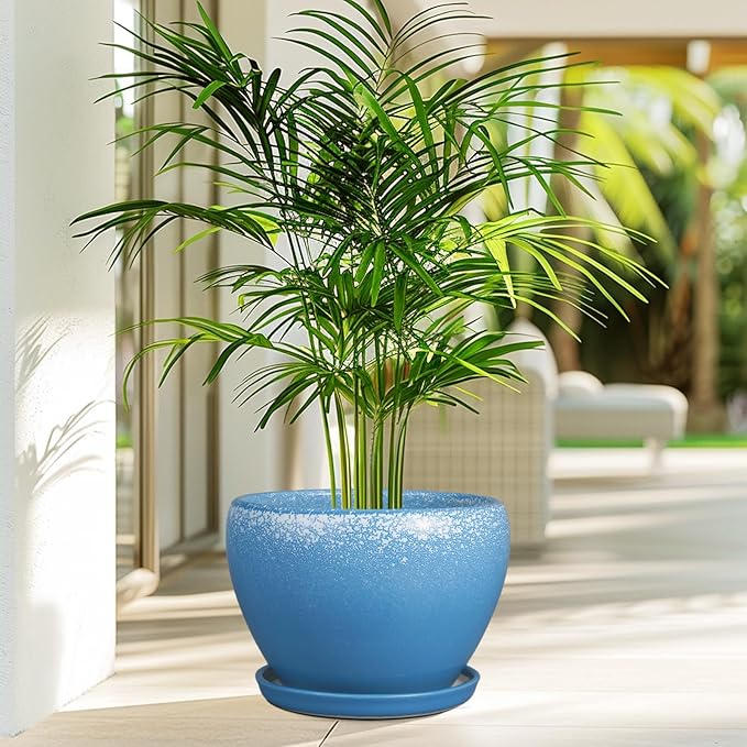 Potted plant with a blue pot on a wooden floor with a blurred outdoor background