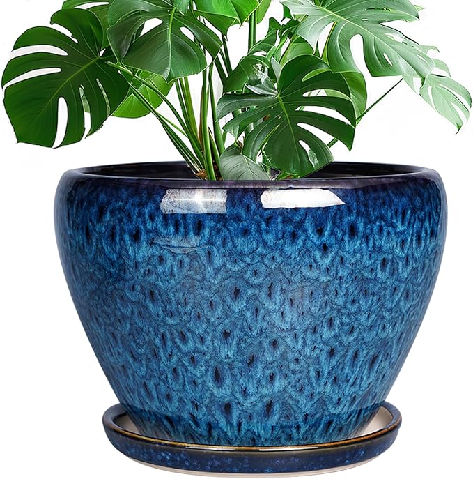 Blue textured pot with a green plant on a white background